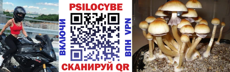 mega маркетплейс  Юрьев-Польский  Псилоцибиновые грибы мухоморы 